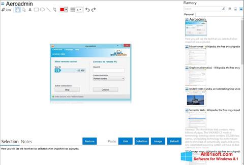 Screenshot AeroAdmin Windows 8.1