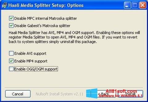 Screenshot Haali Media Splitter Windows 8.1
