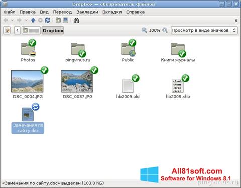 Screenshot Dropbox Windows 8.1