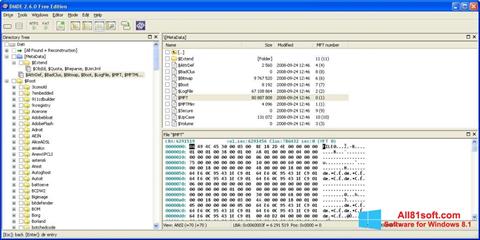 Screenshot DMDE Windows 8.1