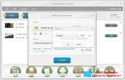 Screenshot Freemake Video Converter Windows 8.1