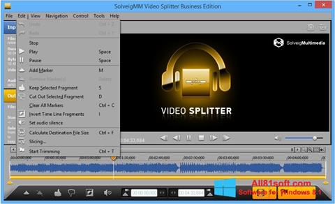 Screenshot SolveigMM Video Splitter Windows 8.1