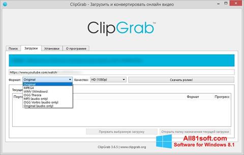 Screenshot ClipGrab Windows 8.1