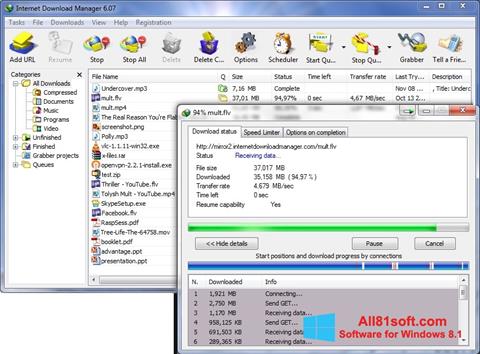 Screenshot Internet Download Manager Windows 8.1