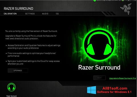 Screenshot Razer Surround Windows 8.1