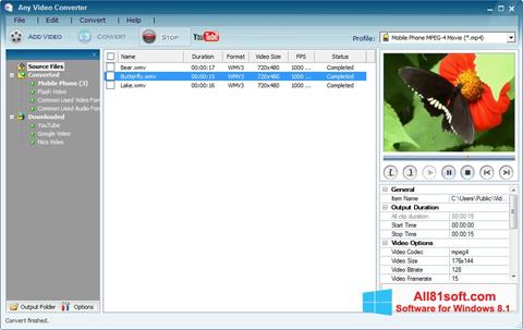 Screenshot Any Video Converter Windows 8.1