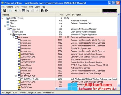 Screenshot Process Explorer Windows 8.1