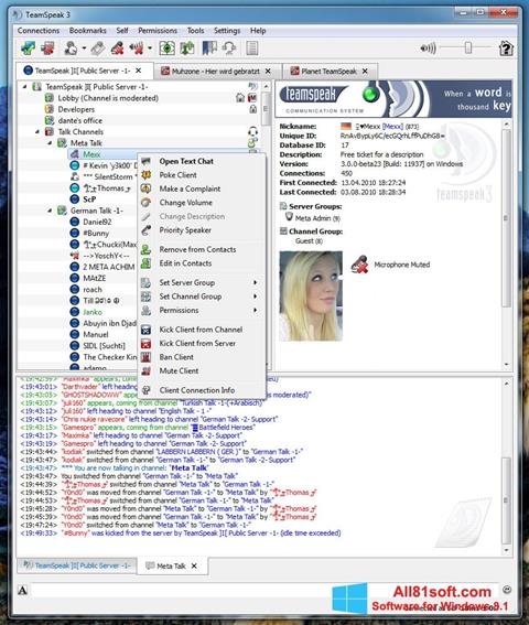 Screenshot TeamSpeak Windows 8.1