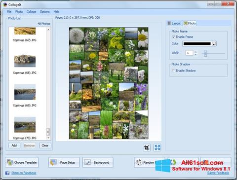 Screenshot CollageIt Windows 8.1