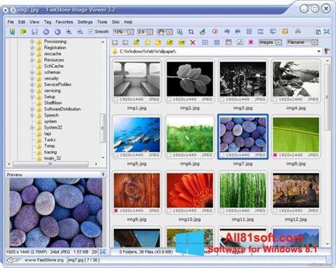 Screenshot FastStone Image Viewer Windows 8.1
