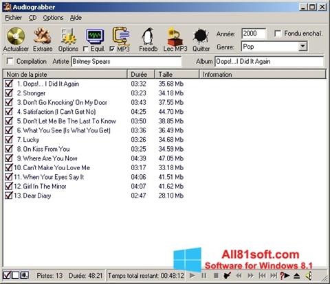 Screenshot Audiograbber Windows 8.1