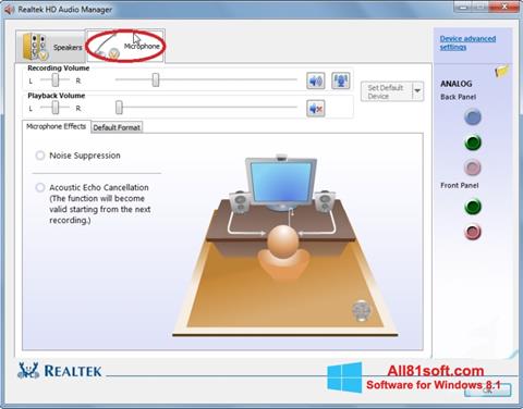 Screenshot Realtek Audio Driver Windows 8.1