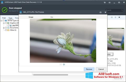 Screenshot USB Flash Drive Recovery Windows 8.1