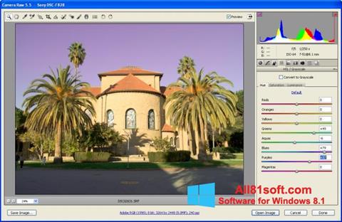 Screenshot Adobe Camera Raw Windows 8.1
